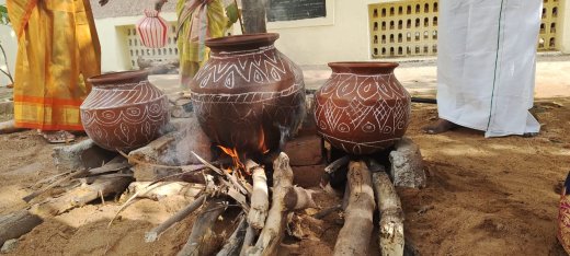 Pongal Celebration 2024