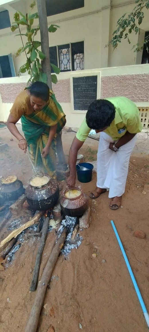 Pongal Celebration 2024
